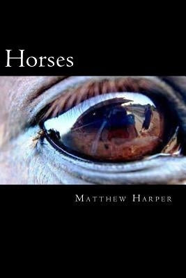 Horses: The Essential Guide To Horses For Kids