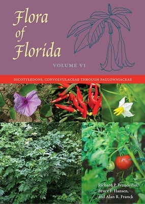 Flora of Florida, Volume VI: Dicotyledons, Convolvulaceae Through Paulowniaceae